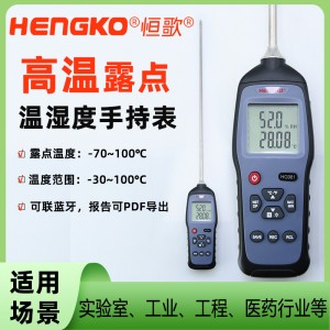 HG981高溫便攜露點(diǎn)測(cè)試儀工業(yè)廠房高精度手持式溫濕度露點(diǎn)儀